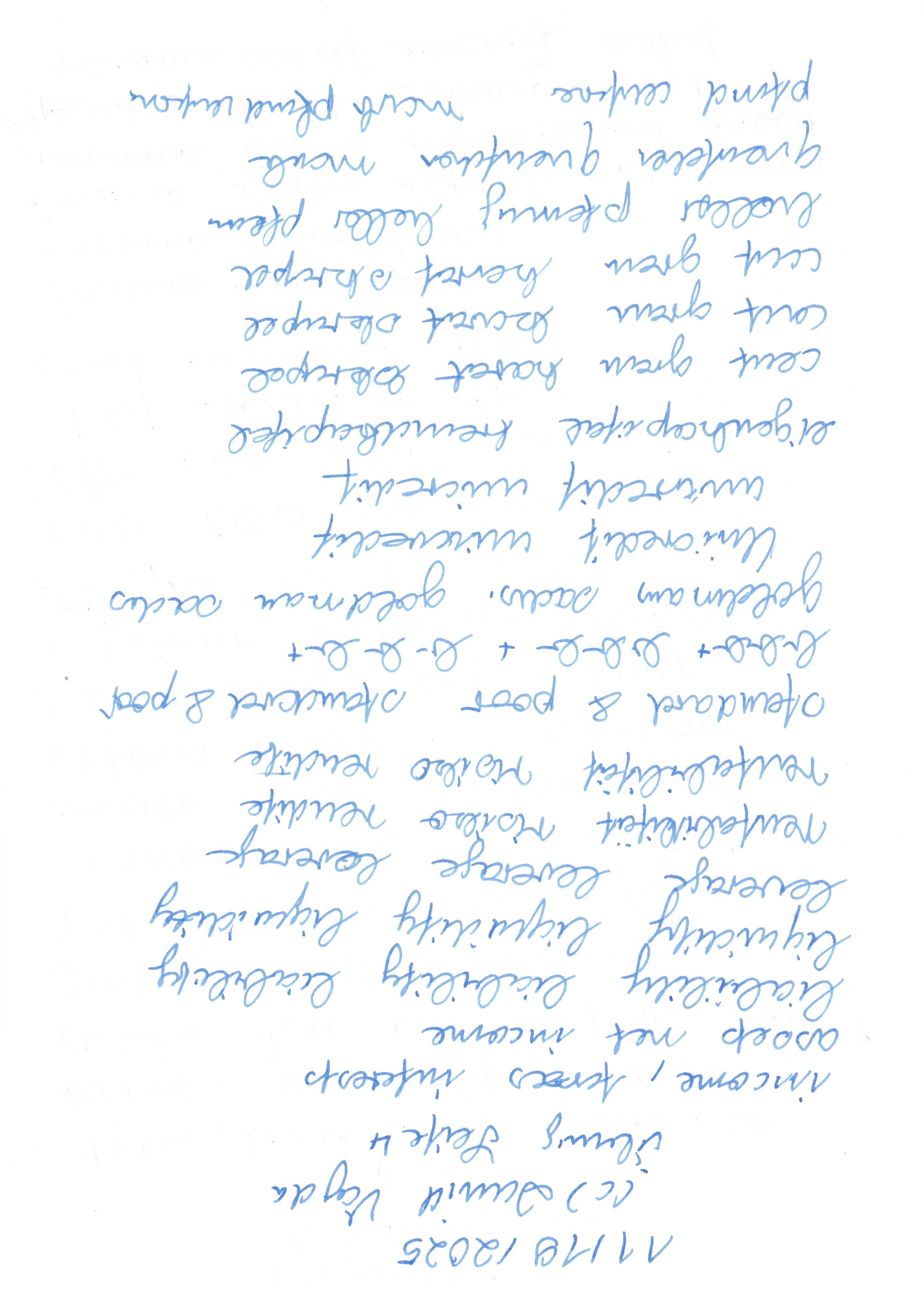 Image 202511301937_111