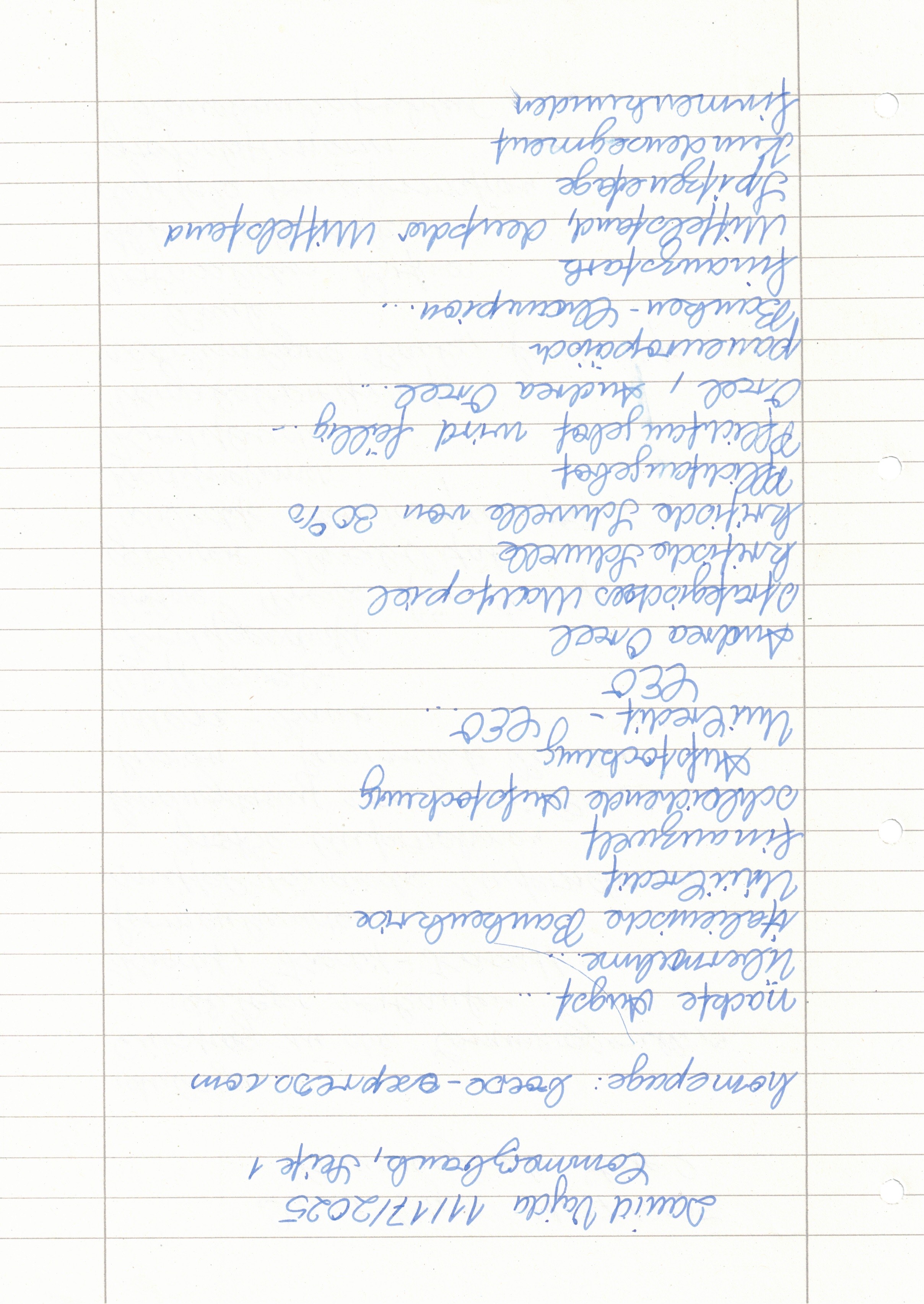 Image 202511301937_83