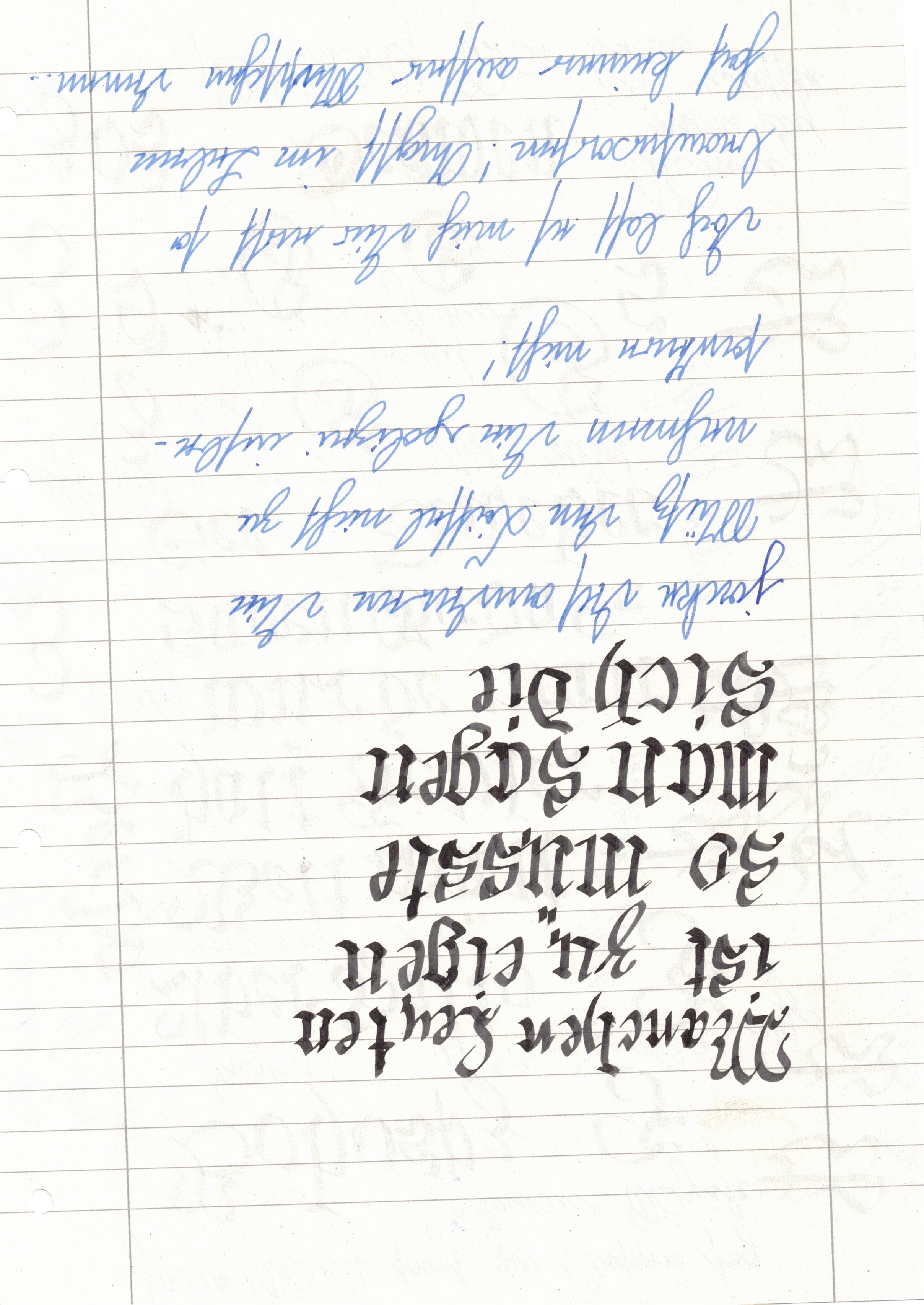 Image 202511301941_3