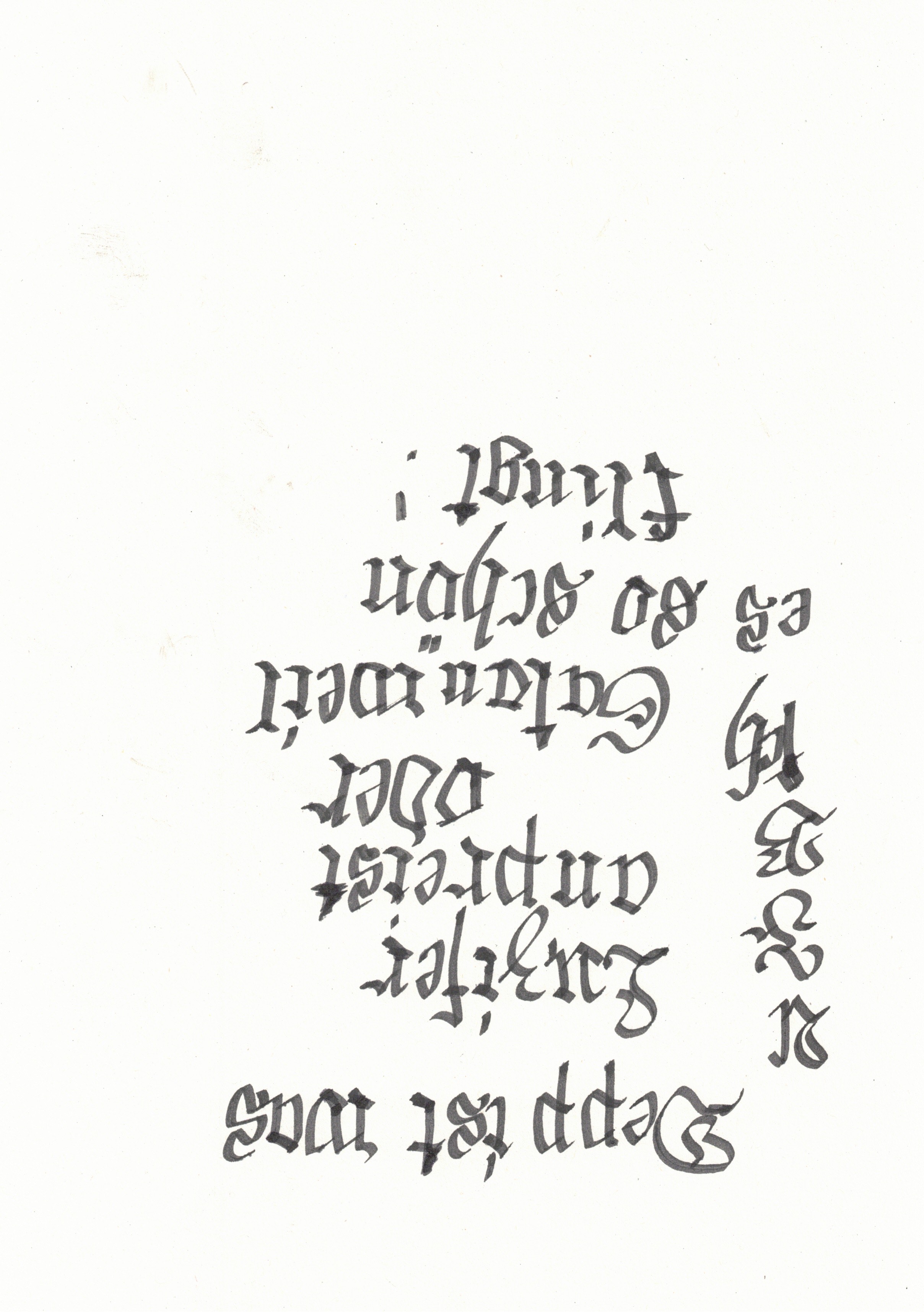 Image 202512112045_14