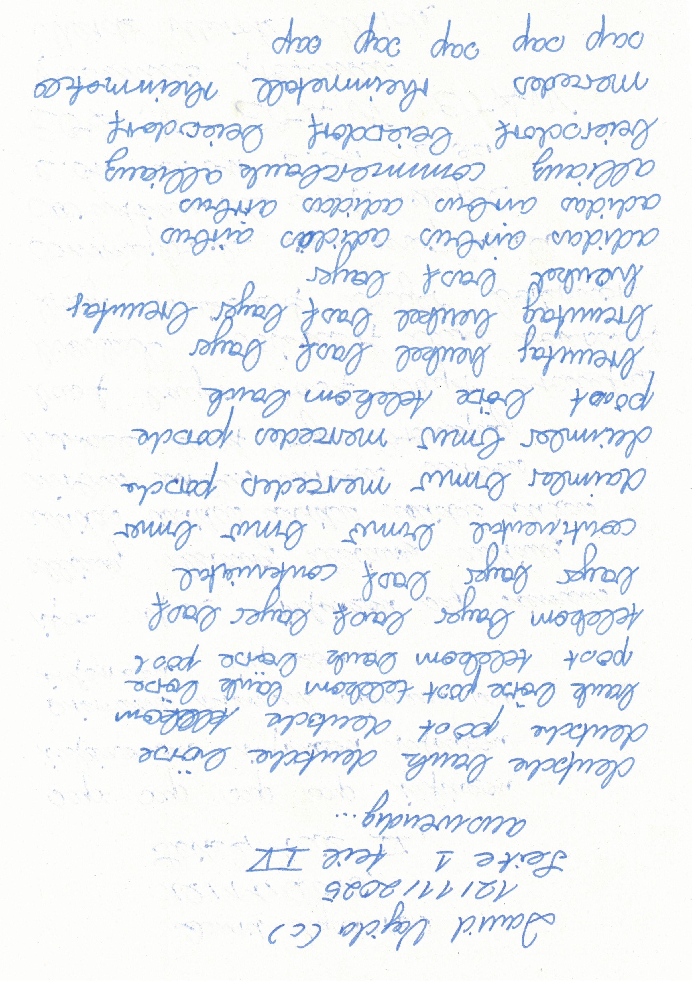 Image 202512112045_21